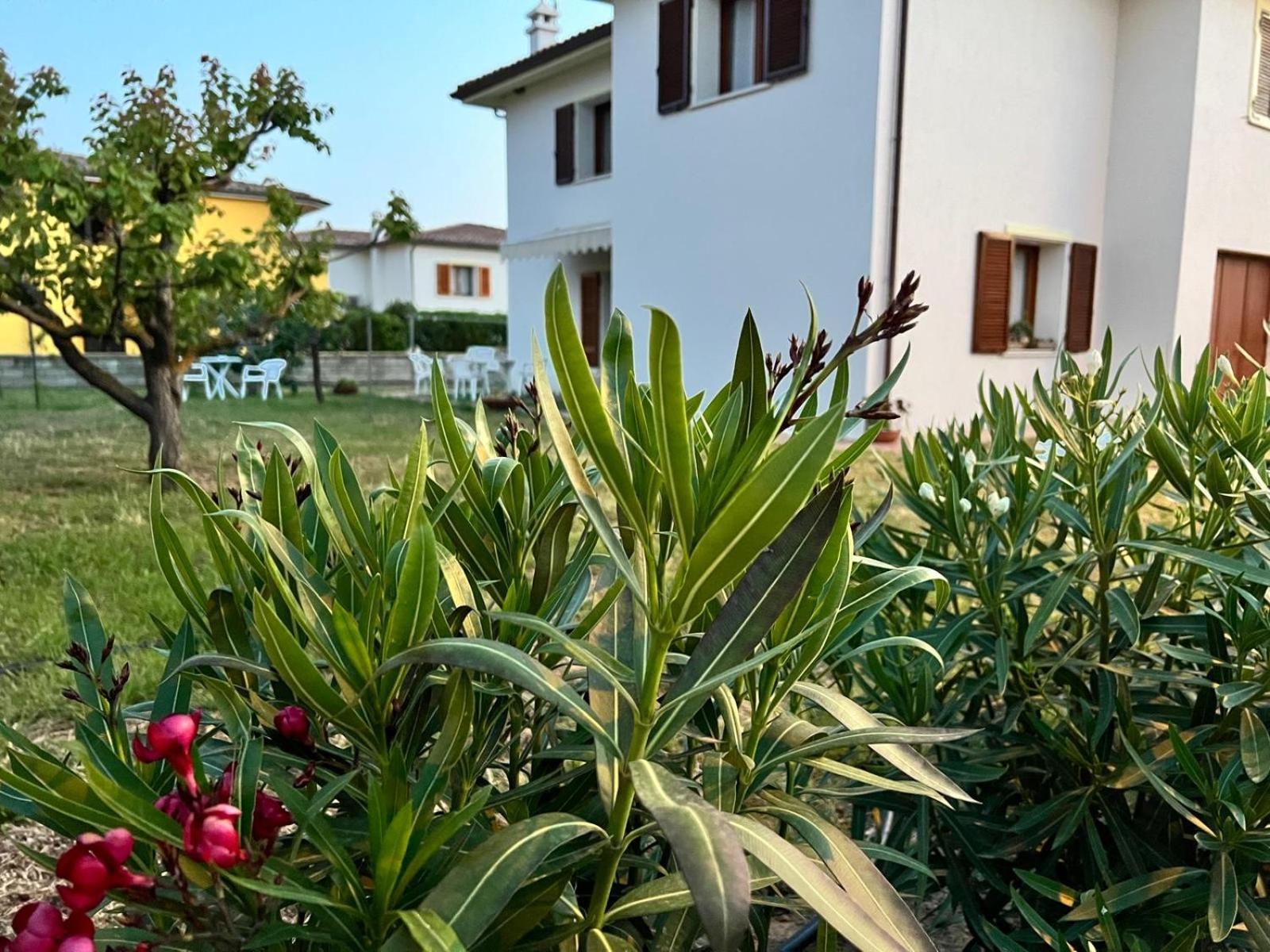 Private Apartment With Garden Cannigione Luaran gambar